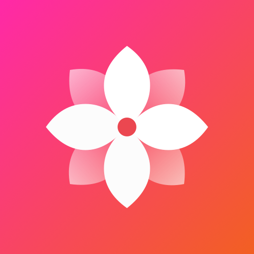 Gallery - Simple and fast icon