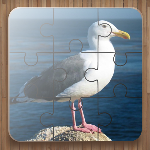 Bird Puzzle Games icon
