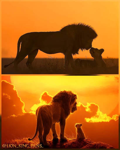 New Lion King Wallpapers HD 4K screenshot 4
