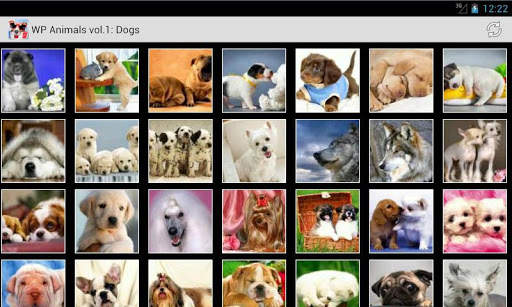 Wallpapers Animals Series 1 screenshot 6
