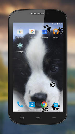 Puppy Live Wallpapers screenshot 2