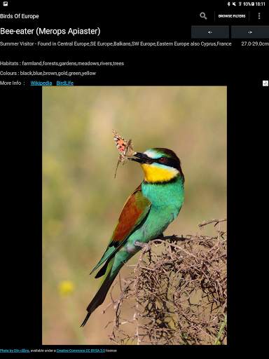 Birds Of Europe Guide स्क्रीनशॉट 7