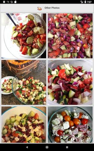 Vegetable Salad Recipes screenshot 14