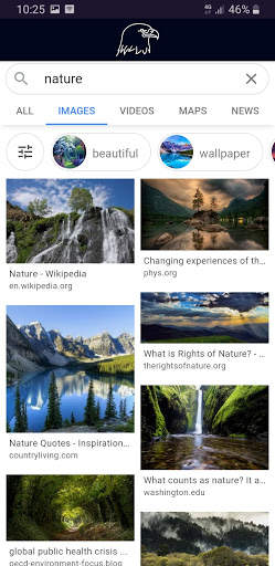 Eagle Browser screenshot 7