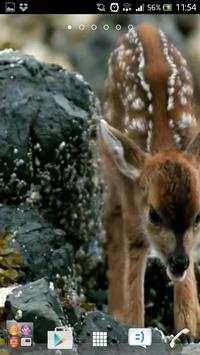Deer wallpapers screenshot 4