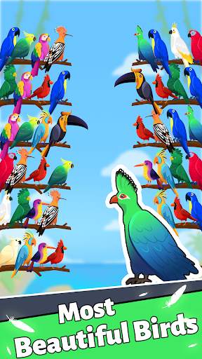 Bird Puzzle - Sorting Offline screenshot 5