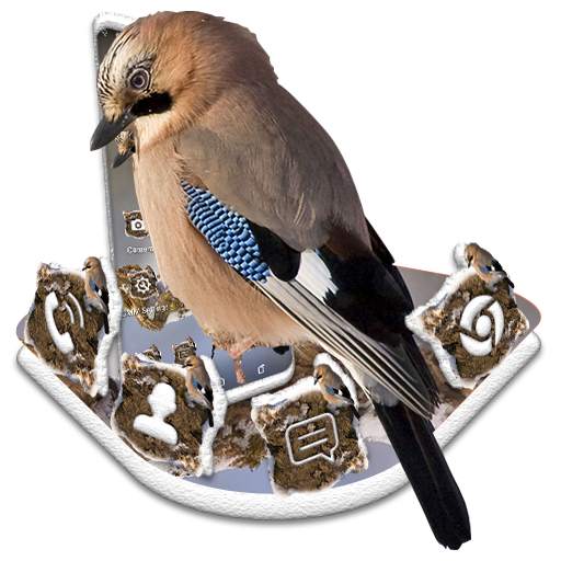 Jay Bird Theme 1.0.0