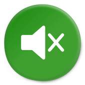 SilentCam Switch 1.01