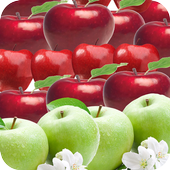 Apple Wallpaper icon