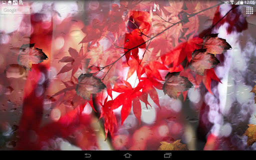 Spring Leaf wallpapers screenshot 6