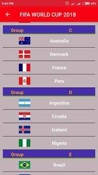 FIFA WORLD CUP 2018 screenshot 3