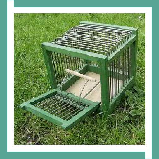Bird Trap Design Ideas 22.0.2