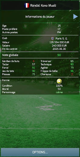 True Football 3 screenshot 4