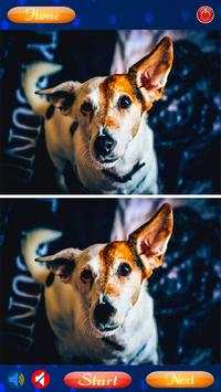Photo Hunt Spot the Difference screenshot 2