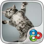 Cheery Kitty GO Launcher Theme icon