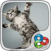Cheery Kitty GO Launcher Theme 2.0