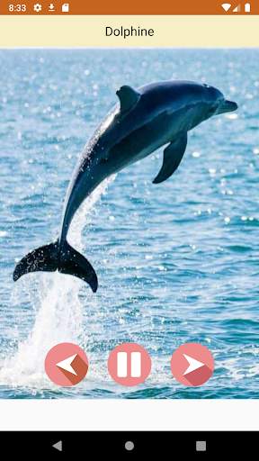 Animal Sounds 3D screenshot 7