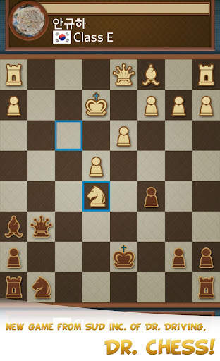 Dr. Chess screenshot 5
