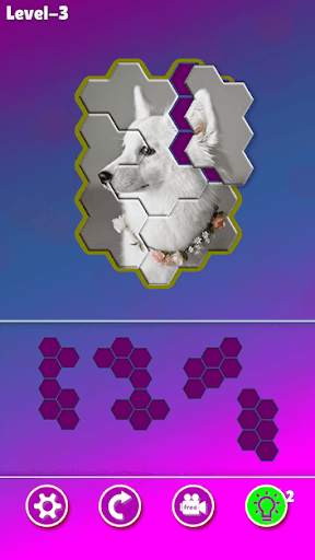 Hexa Jigsaw - Dogs jigsaw puzzle game screenshot 6