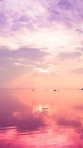 Pink Wallpapers screenshot 2