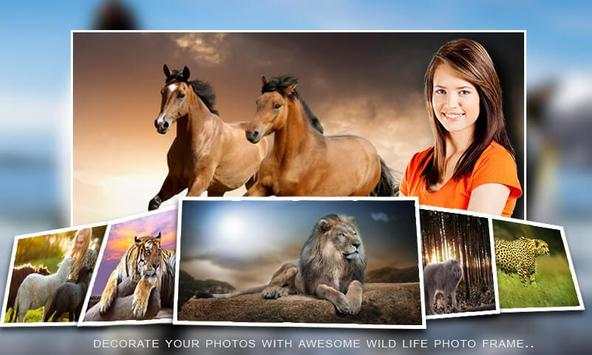 Wild Life Photo Editor screenshot 3