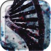 DNA 3D Live Wallpaper on 9Apps