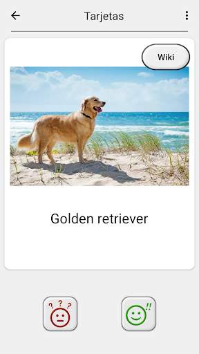 Perros - Quiz acerca de todas las razas populares screenshot 5