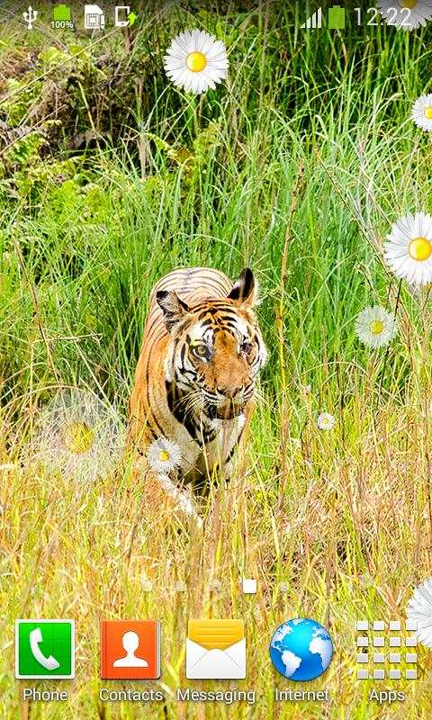 Tiger Live Wallpapers screenshot 5