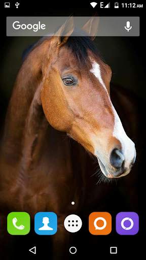 Horse Hd Wallpaper screenshot 4