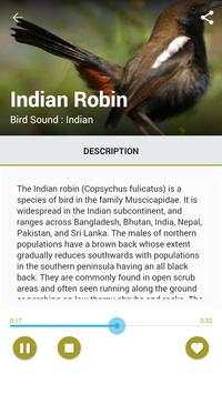 Indian Bird Calls screenshot 3