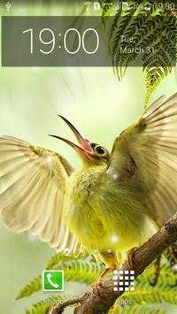 Spring Birds screenshot 7