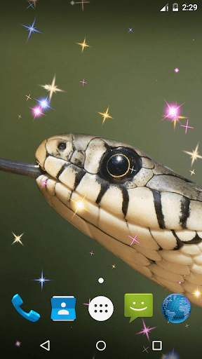 Snake Live Wallpaper screenshot 6
