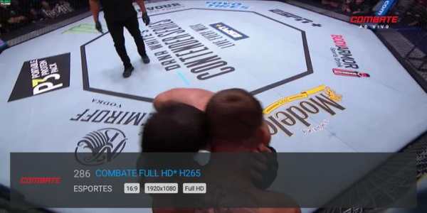 GoBR - Player screenshot 3