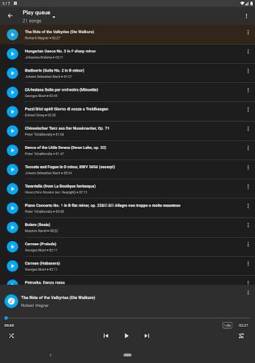 Simple Music Player screenshot 19