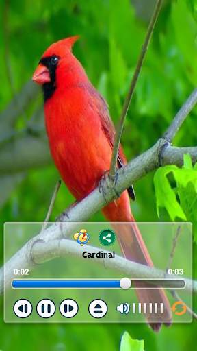 Birds Calls Sounds - Relaxing स्क्रीनशॉट 1