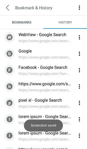 Liteweb Browser screenshot 2