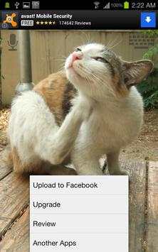 Talkicat Lite screenshot 4
