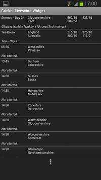 Cricket Livescore Widget screenshot 1