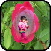 Rose Photo Frames 1.2