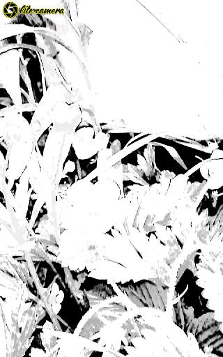 Lite Camera screenshot 3