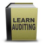Auditing icon