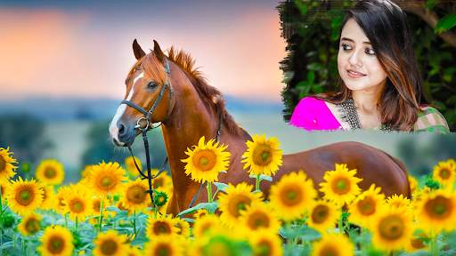 Horse Photo Editor Pic Frames 14 تصوير الشاشة