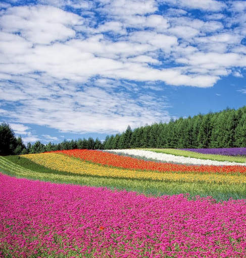Nature Wallpaper screenshot 11