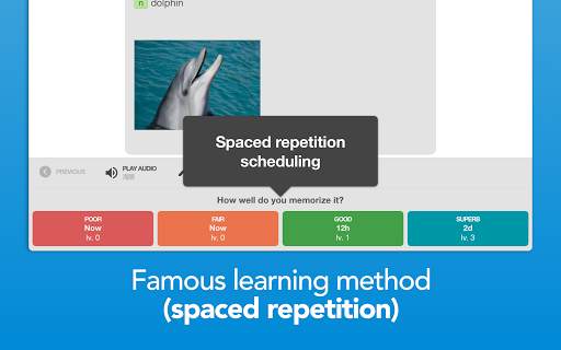 Ulangi: Anki alternative for language learning скриншот 16
