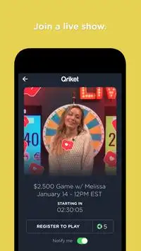 Qriket screenshot 2