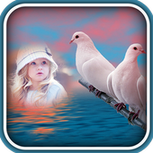 Dove Photo Frames أيقونة