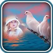Dove Photo Frames 1.0