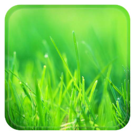 Aquaiver Grass Live 3.2