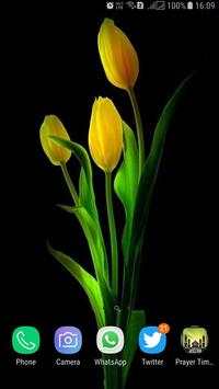 HD Tulip New Wallpaper screenshot 8
