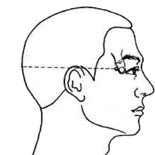 TCM Acupuncture Index/Acupoint 2.91.0